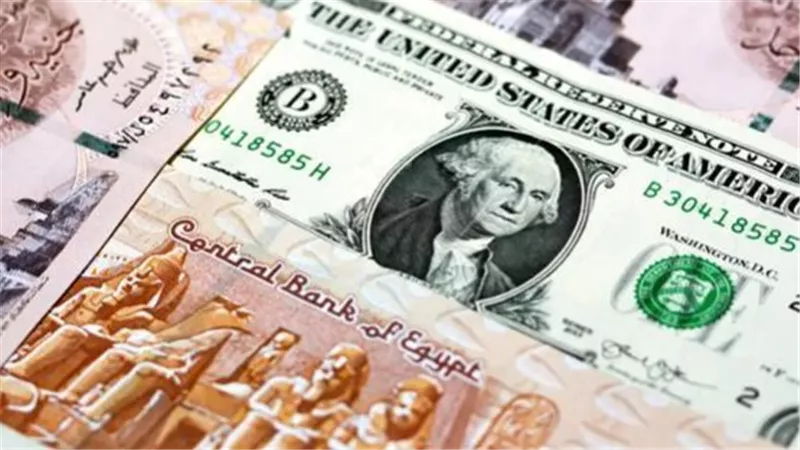 سعر الدولار مقابل الجنيه اليوم.. تعرف على أسعار الدولار في 9 بنوك