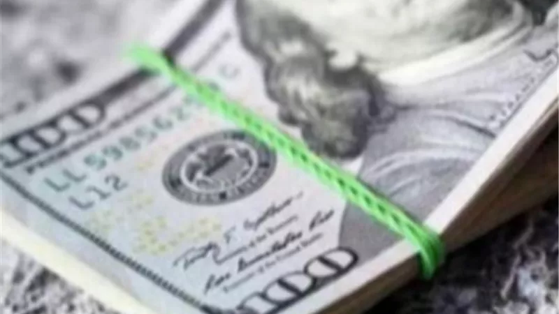 أسعار الدولار اليوم في مصر.. استقرار نسبي أمام الجنيه