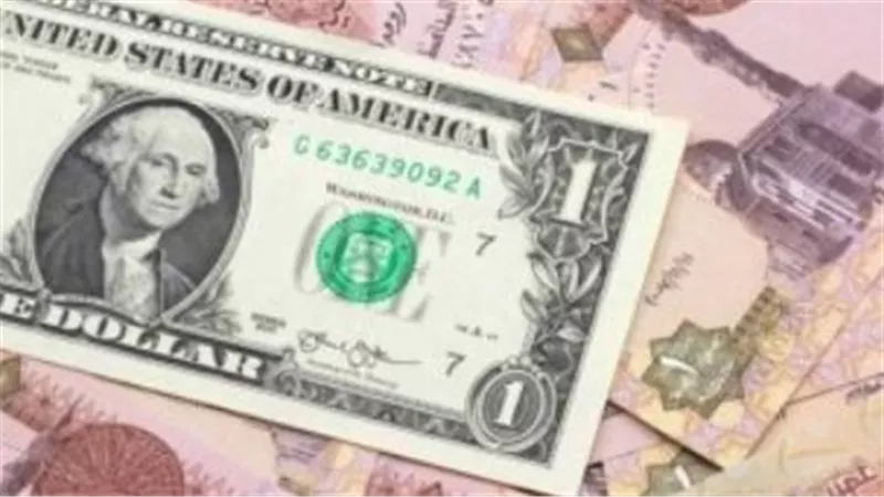 الدولار يستقر أمام الجنيه اليوم.. كم سجل سعره في البنك المركزي والأهلي؟