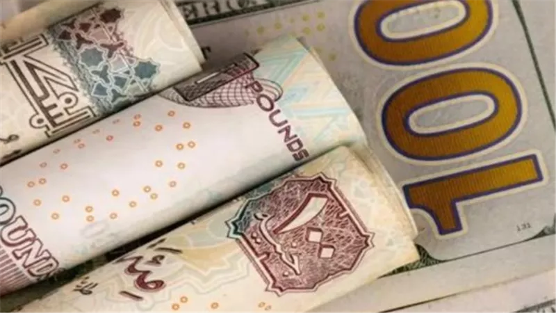 هل يتحرك الدولار اليوم؟ تعرف على سعره في البنك المركزي والبنوك المصرية
