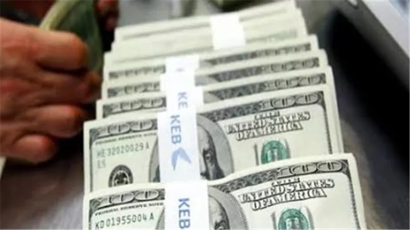 الدولار يحافظ على استقراره.. تفاصيل سعره اليوم في البنوك المصرية