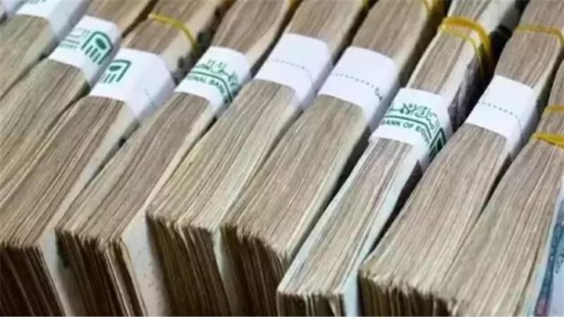 أصحاب المعاشات والمستفيدون.. شروط الحصول على تمويل «في حب مصر»