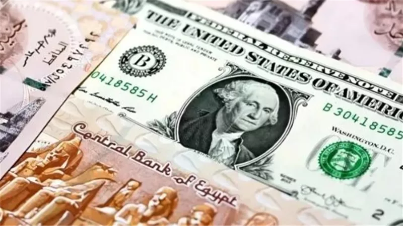 سعر الدولار اليوم الثلاثاء.. أعلى سعر للبيع وأقل سعر للشراء في البنوك