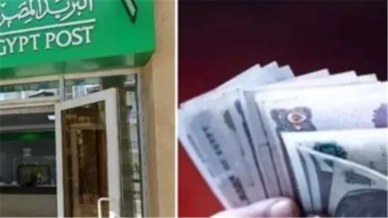 تكافل وكرامة 2026.. كيف تستعلم عن حالة الاستحقاق بالرقم القومي؟