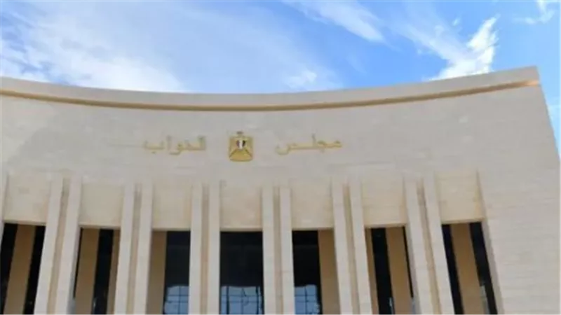تفاصيل جديدة بشأن اعتراض الرئيس على قانون جامعة كيان.. اجتماع اليوم بالنواب