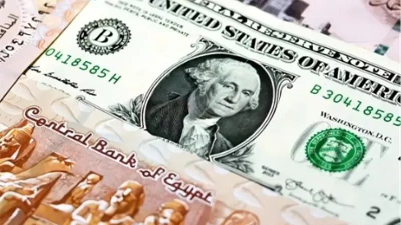 مفاجأة في سعر الدولار اليوم الإثنين.. هل يستمر التراجع؟
