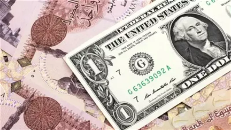 استقرار سعر الدولار اليوم السبت.. كم سجل أمام الجنيه المصري؟
