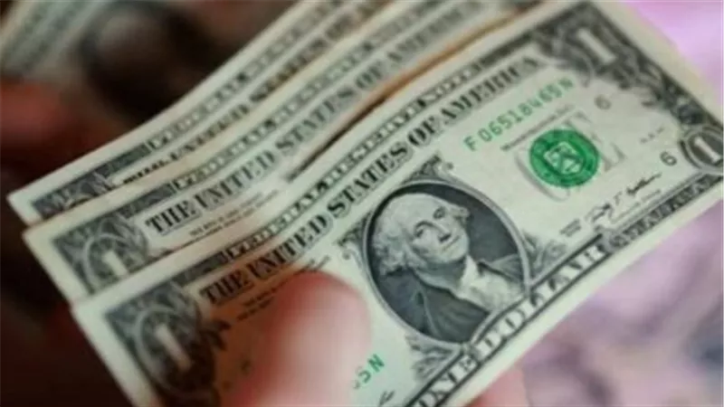 سعر الدولار في البنك الأهلي المصري اليوم.. تعرف على سعر البيع والشراء