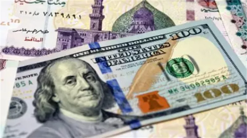 سعر الدولار في البنك المركزي المصري اليوم.. آخر تحديث للشراء والبيع