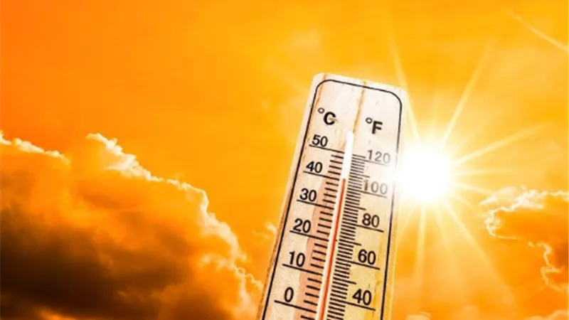 الأرصاد تحذر من طقس اليوم.. شبورة صباحية وأمطار رعدية في هذه المناطق