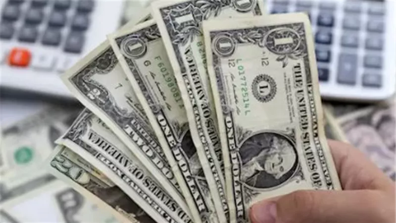 البنك المركزي والبنوك الكبرى.. إليك خريطة أسعار الدولار اليوم