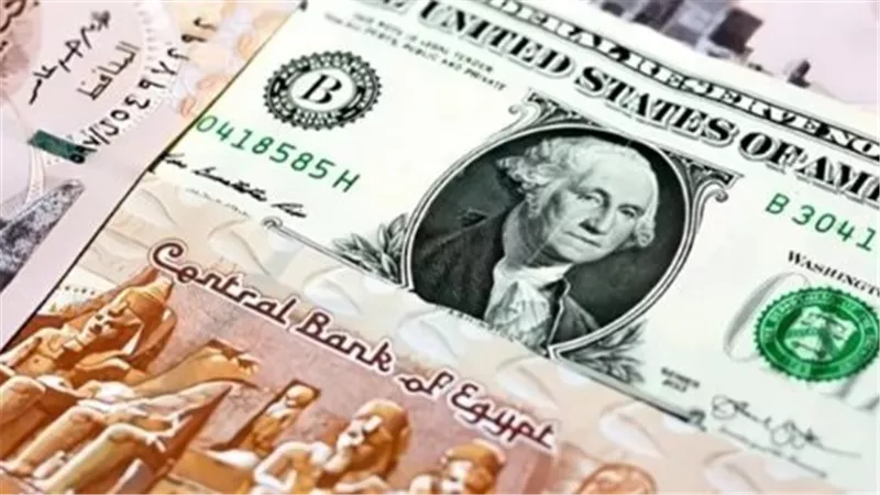 سعر الدولار اليوم في البنوك المصرية.. قفزة أسبوعية تقترب من 1.20 جنيه