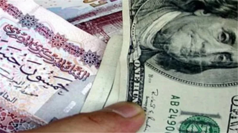 سعر الدولار في البنك المركزي المصري اليوم.. كم سجل للبيع والشراء؟