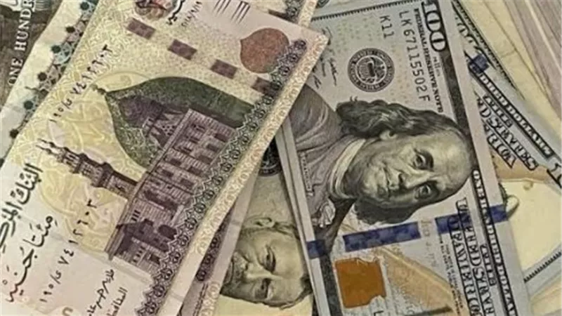 سعر الدولار في مصر الآن.. البنك المركزي والبنوك التجارية في مقارنة