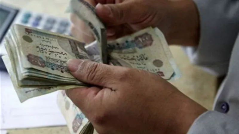 معاشات نوفمبر 2026.. خطوات الاستعلام عن المعاش بالرقم القومي