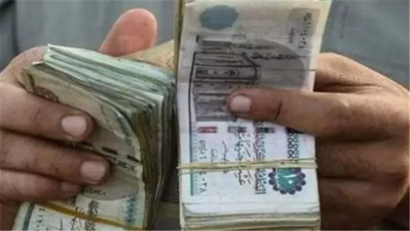 رابط الاستعلام عن معاشات نوفمبر 2026