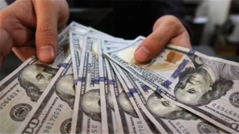 الدولار يستقر أمام الجنيه اليوم.. تفاصيل الأسعار في البنوك المصرية