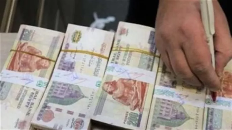 شهادات بعائد يومي وشهري وسنوي.. تعرف على الخيارات المتاحة للمودعين