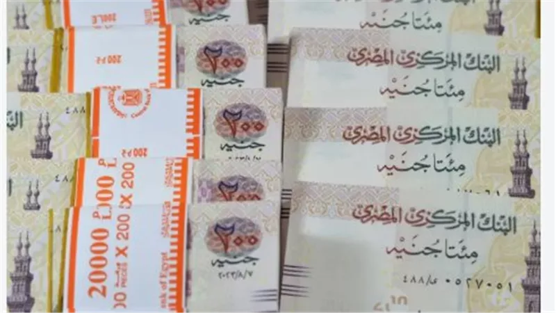 شهادات ادخار بعائد مقدم وتراكمي.. التفاصيل الكاملة وشرائح الشراء