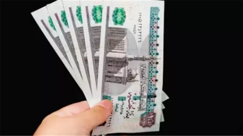 عائد سنوي يصل إلى 19%.. تفاصيل شهادات البنك العربي الأفريقي الدولي