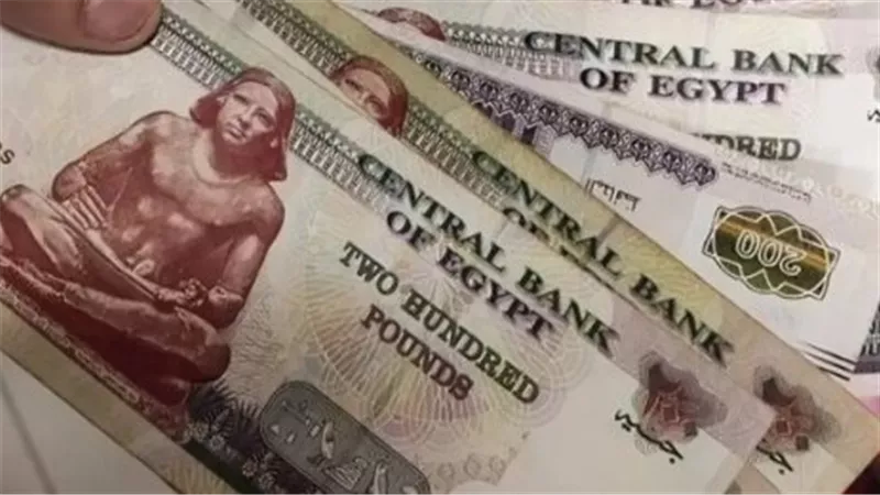 معاشات نوفمبر 2026.. كيف تستعلم عن بيانات المعاش من المنزل؟