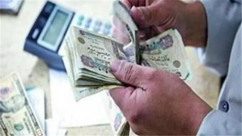 قبل التوجه للصرف.. خطوات معرفة بيانات معاش نوفمبر بالرقم القومي