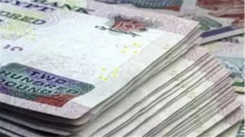 موعد صرف معاشات نوفمبر 2026.. اعرف أماكن الصرف وخطوات الاستعلام بالرقم القومي
