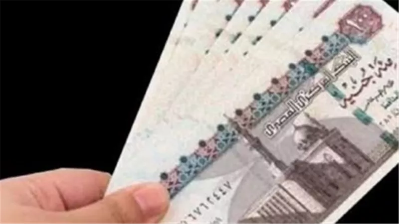 معاشات نوفمبر 2026.. ما حقيقة الصرف المبكر عبر بنك ناصر الاجتماعي؟
