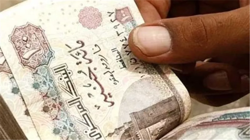 موعد صرف معاشات نوفمبر 2026 في مصر.. معلومات مهمة لأصحاب المعاشات