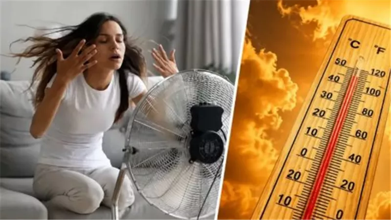أمطار رعدية على سيناء والبحر الأحمر.. تفاصيل حالة الطقس اليوم