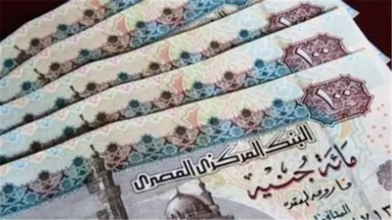 خطوات الاستعلام عن المعاش بالرقم القومي عبر الموقع الرسمي