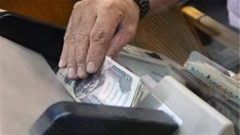 بالرقم القومي.. خطوات الاستعلام عن بيانات المعاش عبر موقع التأمينات