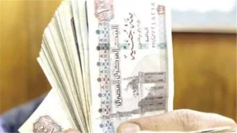 قانون التأمينات الاجتماعية.. موعد الزيادة السنوية للمعاشات في مصر