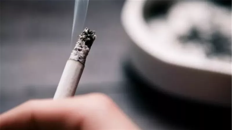 بعد ارتفاع الدولار.. تحركات جديدة في أسعار السجائر وموعد الزيادة المقبلة
