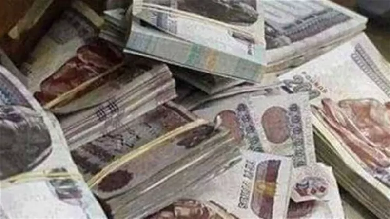 قبل صرف معاشات نوفمبر 2026.. خطوات الاستعلام عن المعاش بالرقم القومي