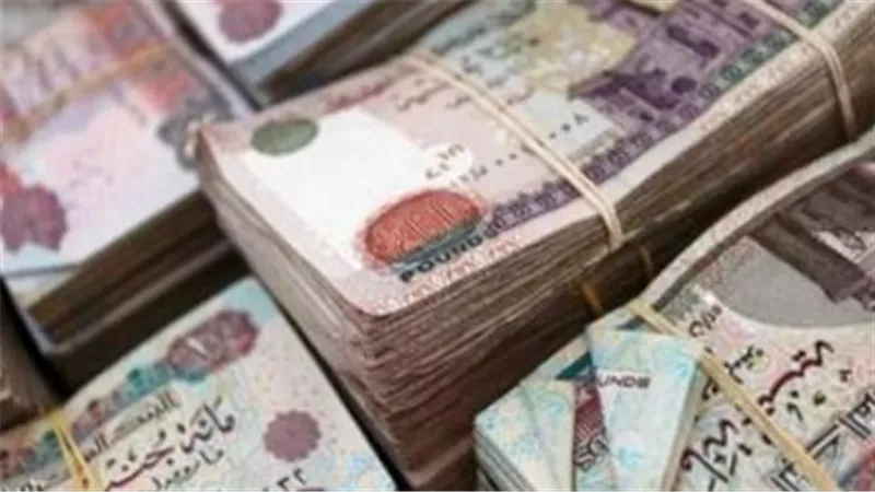 لأصحاب المعاشات.. رابط الاستعلام عن بيانات معاش نوفمبر 2026 عبر موقع التأمينات