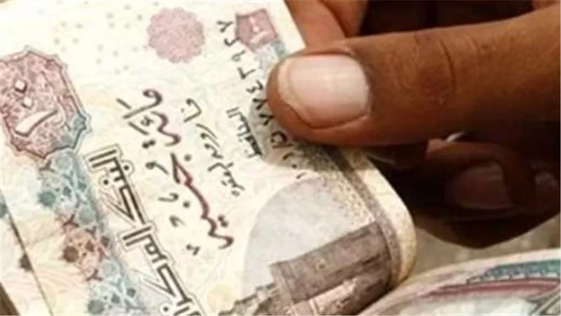 تحسين دخول 4.5 مليون موظف.. ماذا تتضمن خطة الحكومة لزيادة الأجور؟