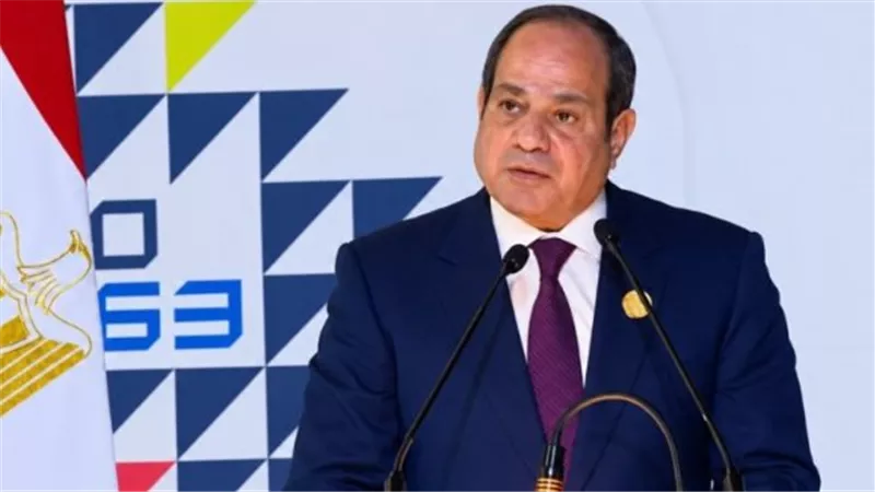 الرئيس السيسي يتابع مستجدات مشروع الضبعة ويؤكد أهمية التنسيق المشترك