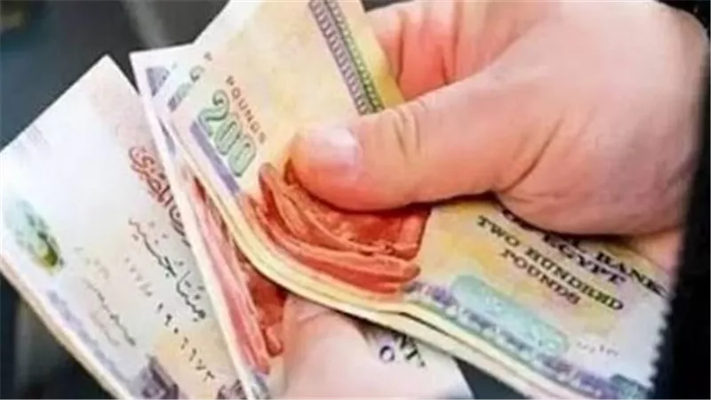 قبل بلوغ سن التقاعد.. تعرف على شروط الحد الأدنى للمعاشات 2027
