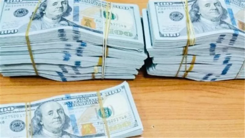 استقرار سعر الدولار أمام الجنيه اليوم السبت.. اعرف أسعار البنوك