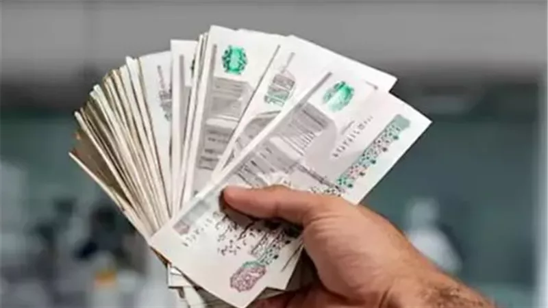 الحد الأدنى للمعاشات 2027 يصل إلى 2080 جنيهًا.. موعد التطبيق والفئات المستفيدة