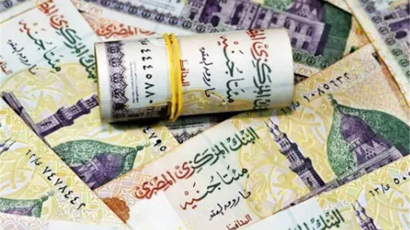 معاشات نوفمبر 2026.. طرق الاستعلام ومنافذ صرف المستحقات