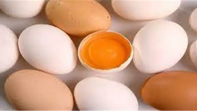 الخبراء يحذرون من تناول البيض النيء