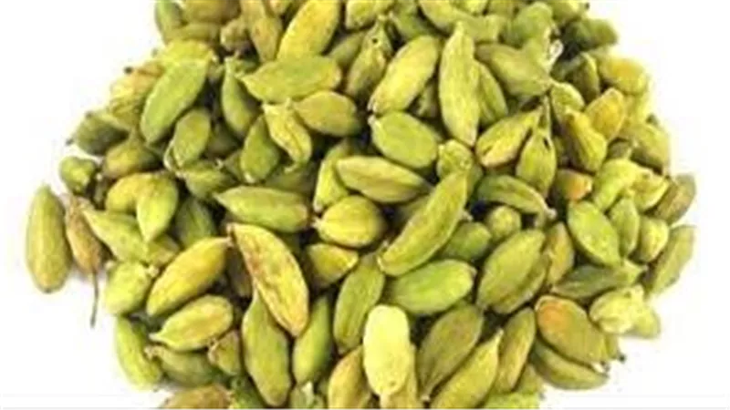 دراسة: الهيل قد يحمل مفتاح العلاج لنوع عدواني من سرطان الثدي
