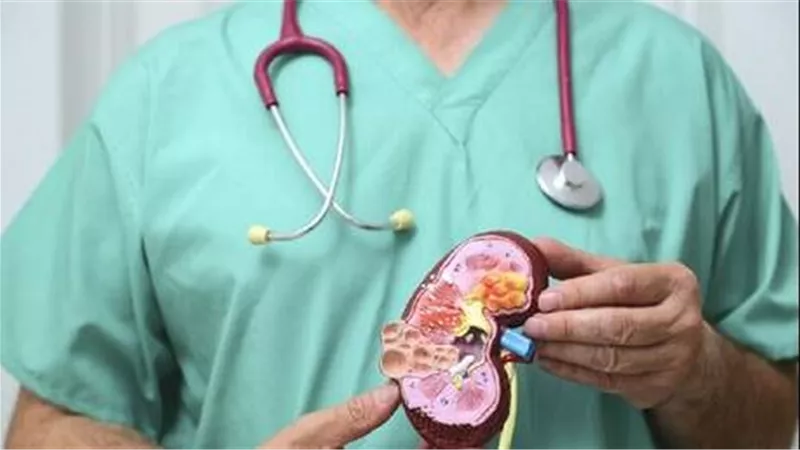 كيف تساعد على حماية الكلى والحفاظ عليهما بحالة جيدة