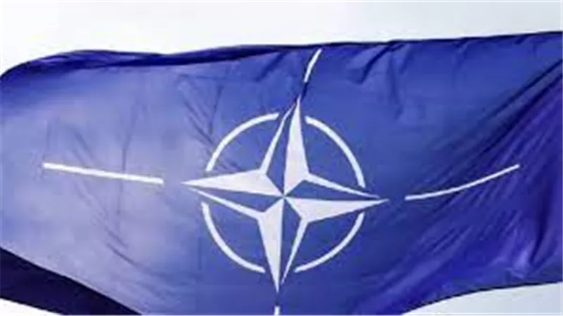  بعد انتهاء الصراع في أوكرانيا.. حزب بريطاني يحث لندن على الانسحاب من حلف الناتو