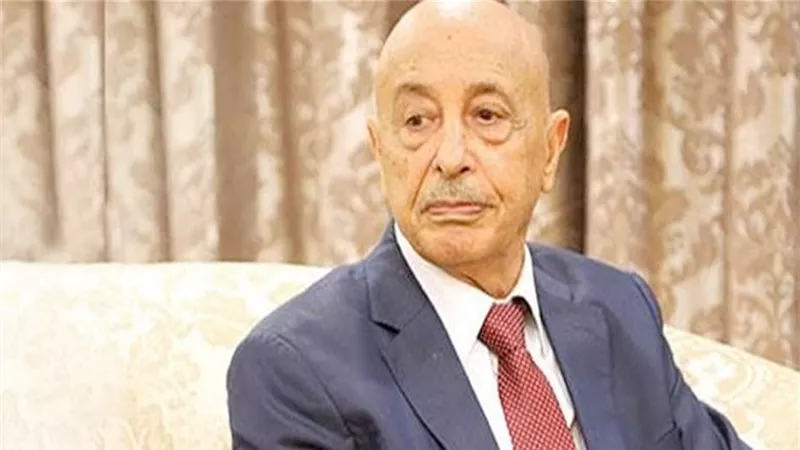رئيس مجلس النواب الليبي يبحث مع وليامز تعديل النقاط الخلافية بمسودة الدستور