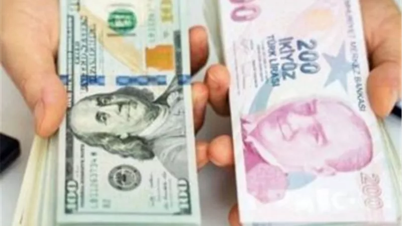 رصيد الدين الخارجي في تركيا يحقق رقما قياسيا جديدا بوصوله إلى 132.3 مليار دولار