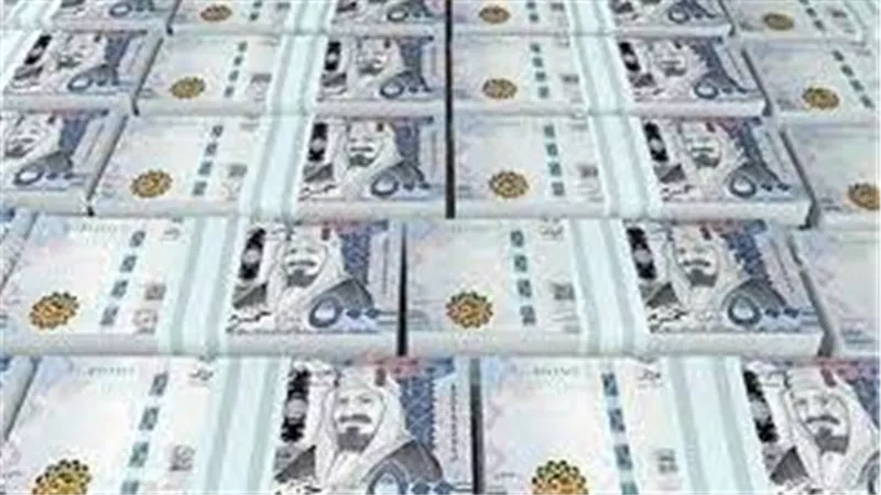 كم يبلغ سعر الريال السعودي حسب موقع البنك المركزي المصري؟