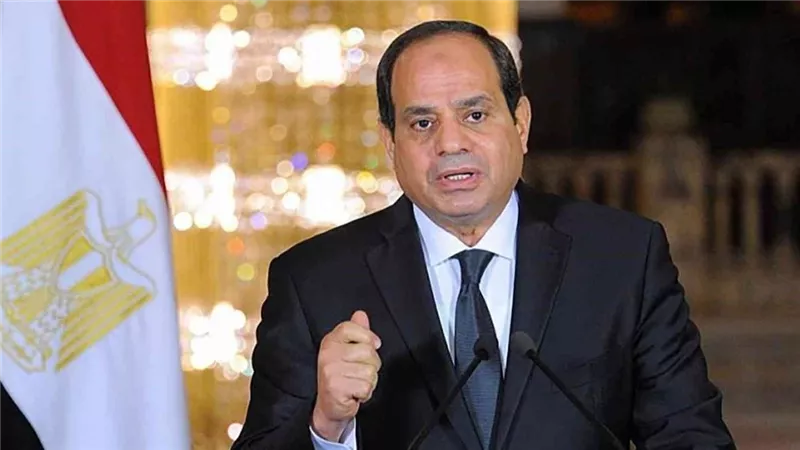 السيسي: الأشقاء في الخليج تحركوا معنا ونرحب باستثماراتهم في مصر
